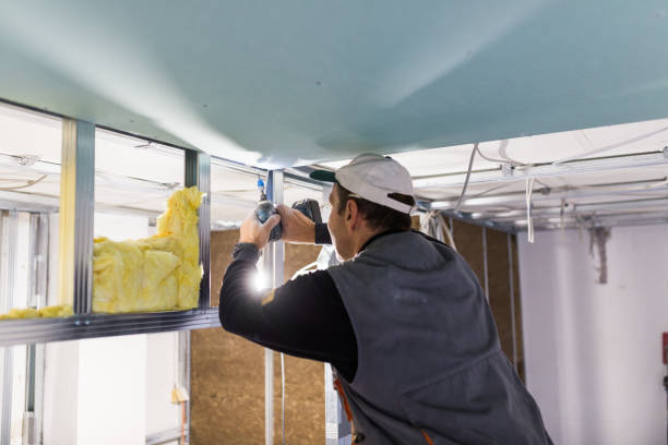 Best Residential Insulation in Paisley, FL