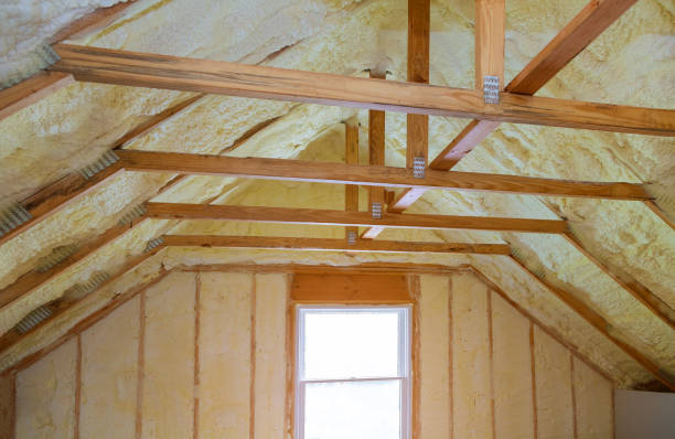 Best Spray Foam Insulation in Paisley, FL
