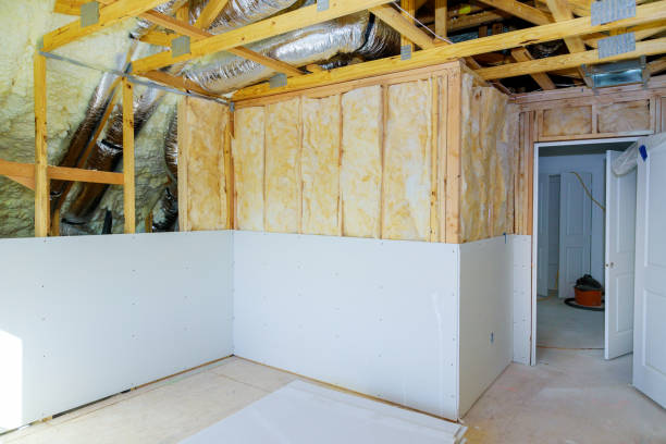 Best Spray Foam Insulation in Paisley, FL
