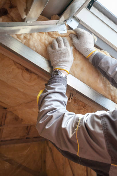 Trusted Paisley, FL Insulation Contractor Experts