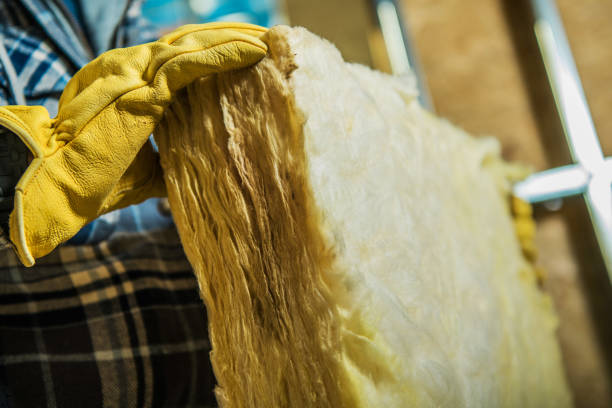 Types of Insulation We Offer in Paisley, FL