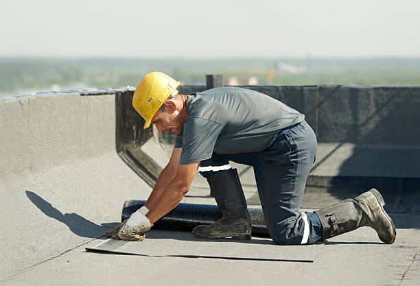 Trusted Paisley, FL Insulation Contractor Experts